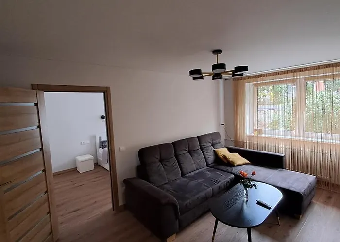 Vytes Apartamentai Каунас